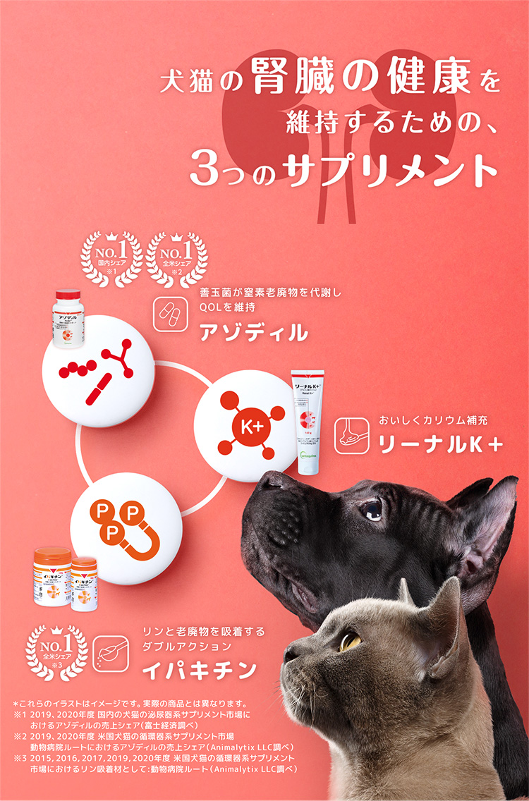 高級な アゾディル 犬猫用健康補助食品 腎臓の健康サポート ienomat.com.br